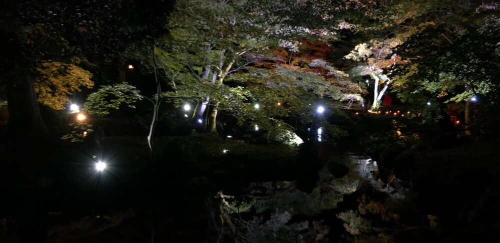 北畠神社　逆さ紅葉